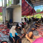 Semangat Gotong Royong Warnai Penyembelihan 10 Hewan Kurban di Masjid Sabiilul Muttaqiin Pada Idul Adha 1447 H