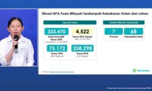 Kasus ISPA di Wilayah Karhutla Tembus 333 Ribu, Kemenkes Imbau Warga Pakai Masker